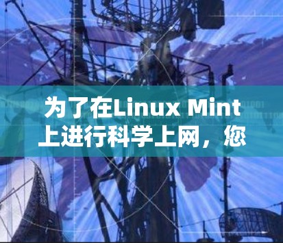 为了在Linux Mint上进行科学上网，您可以按照以下步骤进行操作