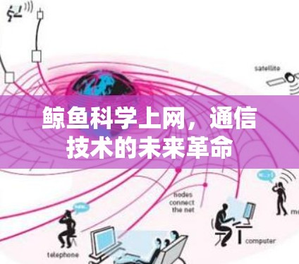 鲸鱼科学上网，通信技术的未来革命