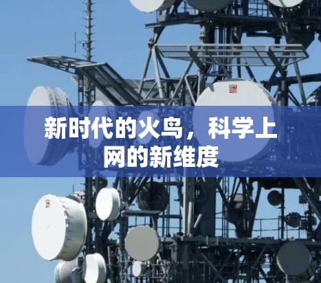 新时代的火鸟，科学上网的新维度