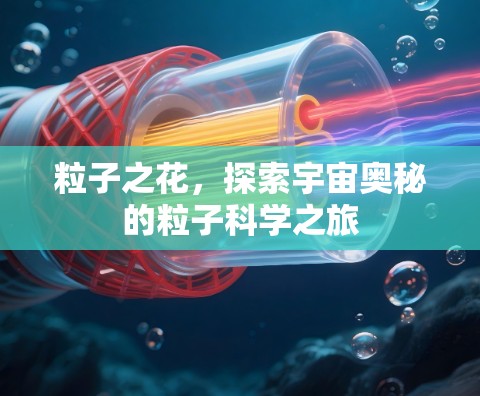 粒子之花，探索宇宙奥秘的粒子科学之旅
