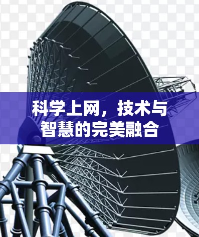 科学上网，技术与智慧的完美融合