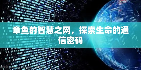 章鱼的智慧之网，探索生命的通信密码