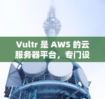 Vultr 是 AWS 的云服务器平台，专门设计为了支持科学计算和高性能需求。以下是对 Vultr 提供科学上网服务的详细分析