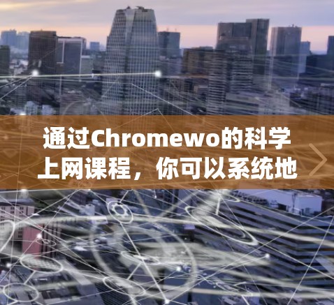 通过Chromewo的科学上网课程，你可以系统地学习科学计算和科学工具的使用。以下是该课程的总结和建议