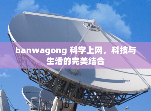 banwagong 科学上网，科技与生活的完美结合
