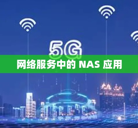 网络服务中的 NAS 应用