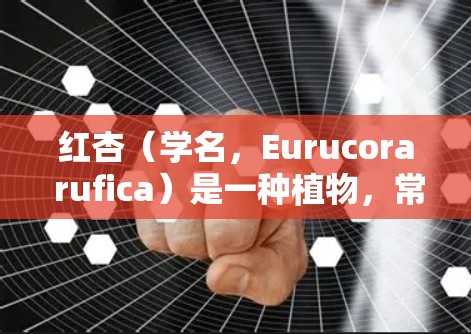 红杏(学名,Eurucora rufica)是一种植物,常见于中国南部和东北部,具有独特的花色和化学活性。科学上网指利用科技手段进行信息传播和数据分析。两者的关系可能涉及以下几个方面 红杏(学名,Eurucora rufica)是一种植物,常见于中国南部和东北部,具有独特的花色和化学活性。科学上网指利用科技手段进行信息传播和数据分析。两者的关系可能涉及以下几个方面