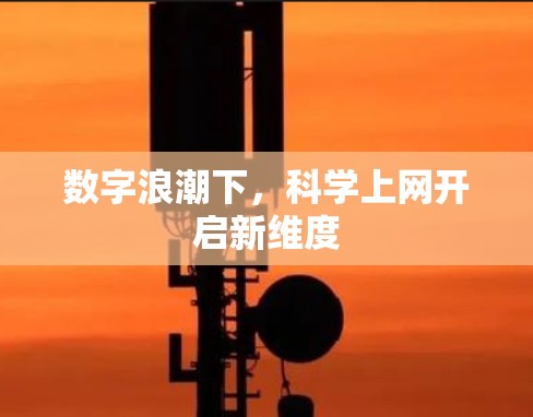 数字浪潮下，科学上网开启新维度