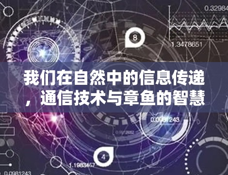 我们在自然中的信息传递，通信技术与章鱼的智慧