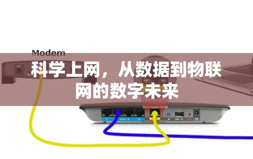 科学上网，从数据到物联网的数字未来