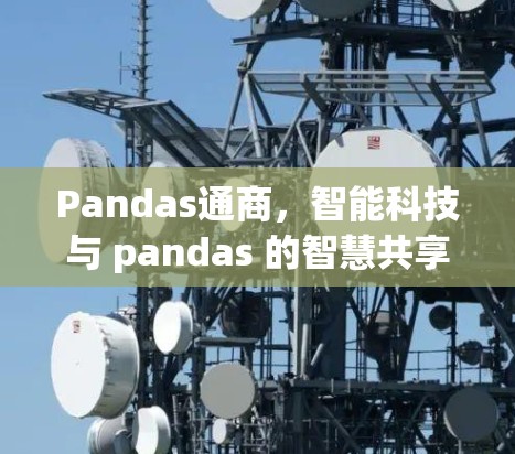Pandas通商，智能科技与 pandas 的智慧共享