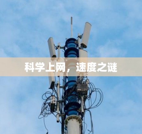 科学上网，速度之谜