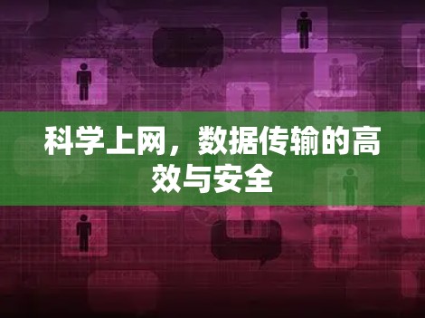 科学上网，数据传输的高效与安全
