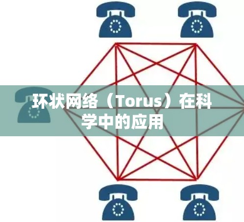 环状网络（Torus）在科学中的应用