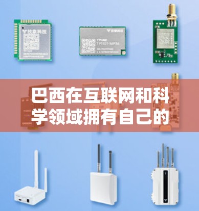 巴西在互联网和科学领域拥有自己的互联网服务和研究机构，以下是一些相关信息