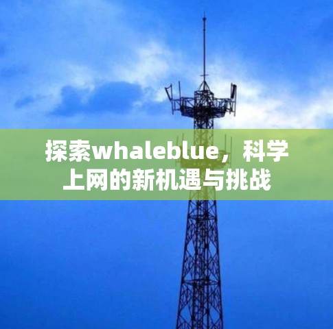 探索whaleblue，科学上网的新机遇与挑战