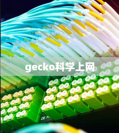 gecko科学上网