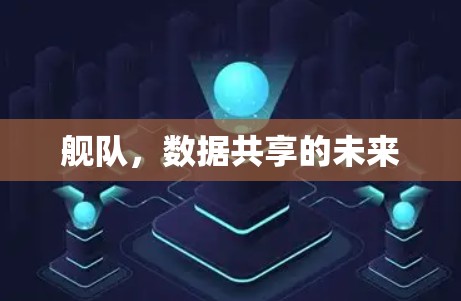 舰队，数据共享的未来