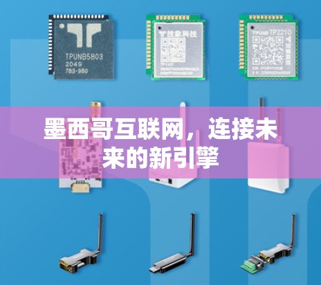 墨西哥互联网，连接未来的新引擎