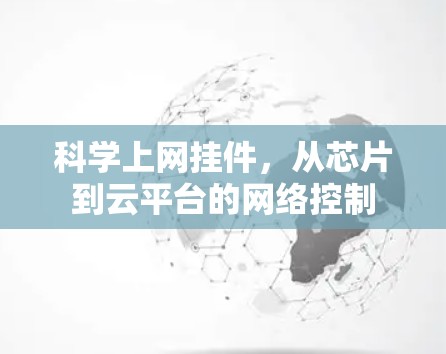 科学上网挂件,从芯片到云平台的网络控制 科学上网挂件,从芯片到云平台的网络控制