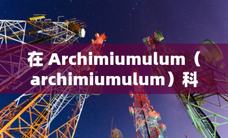 在 Archimiumulum（archimiumulum）科学平台上，用户可以通过以下方式在科学上使用上网功能