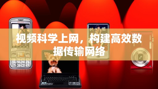 视频科学上网，构建高效数据传输网络