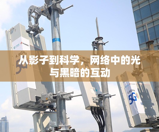 从影子到科学，网络中的光与黑暗的互动