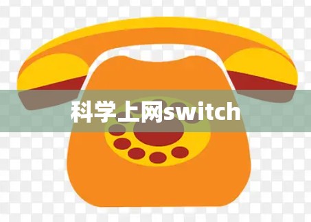 科学上网switch