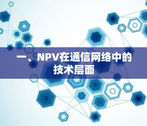 一、NPV在通信网络中的技术层面 一、NPV在通信网络中的技术层面