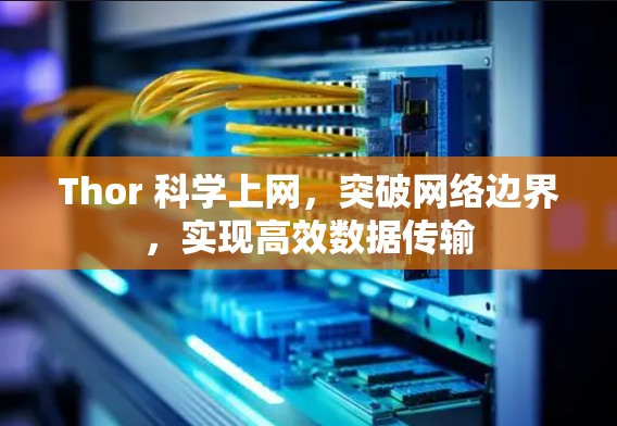 Thor 科学上网，突破网络边界，实现高效数据传输