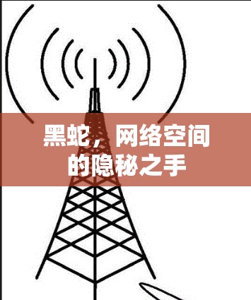 黑蛇，网络空间的隐秘之手