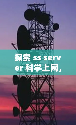 探索 ss server 科学上网，从网络优化到网络安全的未来展望