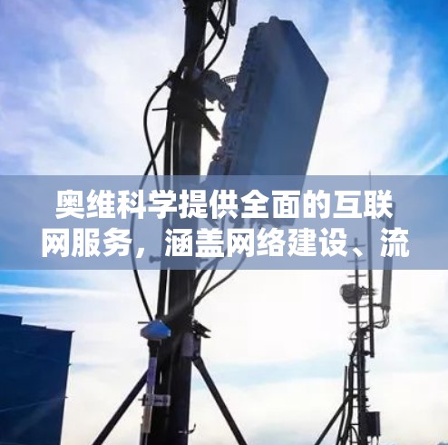 奥维科学提供全面的互联网服务，涵盖网络建设、流量控制、安全保护、数据加密等多个方面。以下是其主要业务和服务