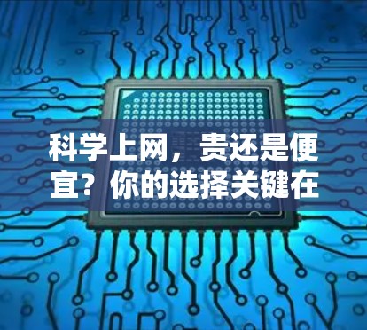 科学上网，贵还是便宜？你的选择关键在于你的需求