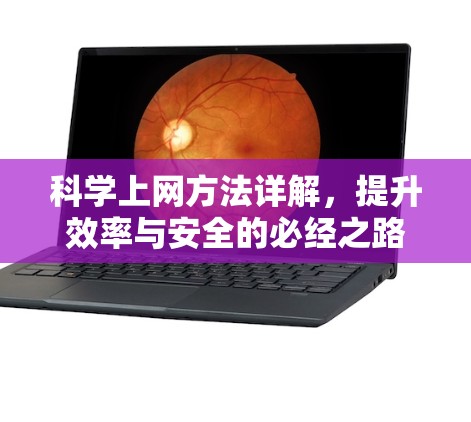 科学上网方法详解，提升效率与安全的必经之路