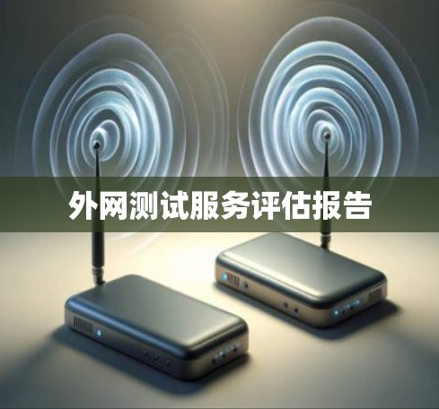 外网测试服务评估报告