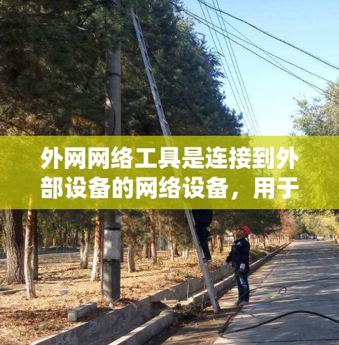 外网网络工具是连接到外部设备的网络设备，用于管理网络环境。以下是针对外网网络工具的系统性介绍