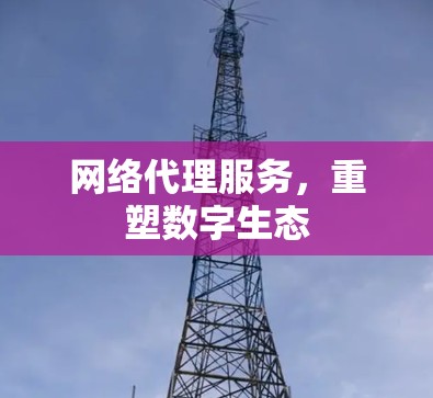 网络代理服务，重塑数字生态