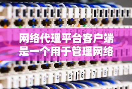 网络代理平台客户端是一个用于管理网络代理信息的工具，旨在帮助用户高效地管理代理数据和配置。以下是对该平台的功能和使用流程的详细说明