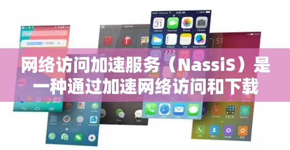 网络访问加速服务（NassiS）是一种通过加速网络访问和下载操作，提高网络性能的一种技术。这些服务通常用于处理文件下载、网页加载慢、网络带宽不足等情况。以下是对网络访问加速服务评估的总结