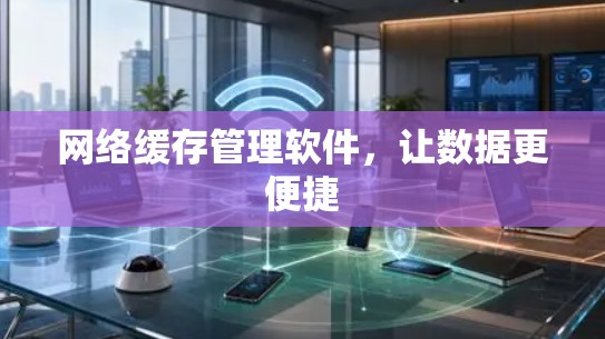 网络缓存管理软件，让数据更便捷