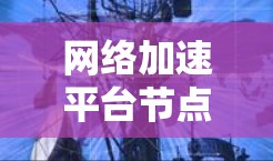 网络加速平台节点质量检测是确保用户体验和网络基础设施健康的重要环节。以下是对节点质量检测方法的详细总结