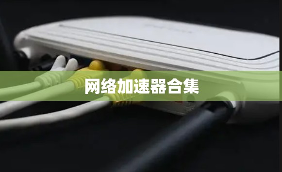 网络加速器合集