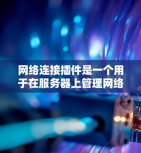 网络连接插件是一个用于在服务器上管理网络连接的工具。以下是使用该插件的具体步骤