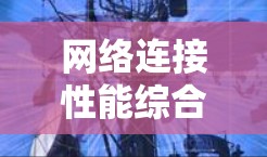 网络连接性能综合评估 网络连接性能综合评估