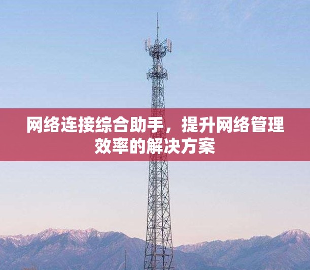 网络连接综合助手，提升网络管理效率的解决方案