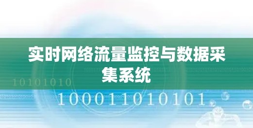 实时网络流量监控与数据采集系统 实时网络流量监控与数据采集系统