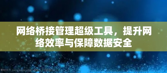 网络桥接管理超级工具,提升网络效率与保障数据安全 网络桥接管理超级工具,提升网络效率与保障数据安全