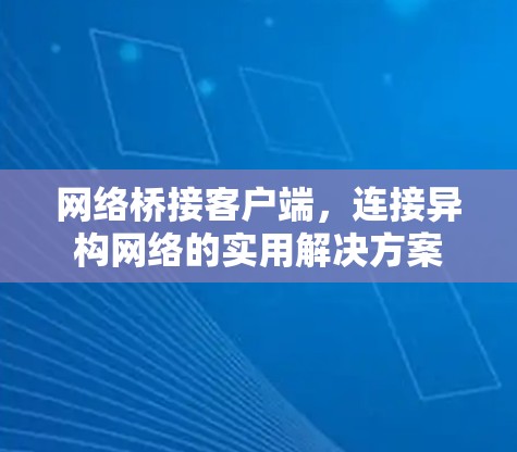 网络桥接客户端，连接异构网络的实用解决方案