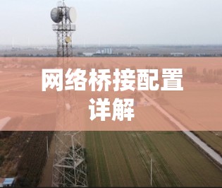 网络桥接配置详解